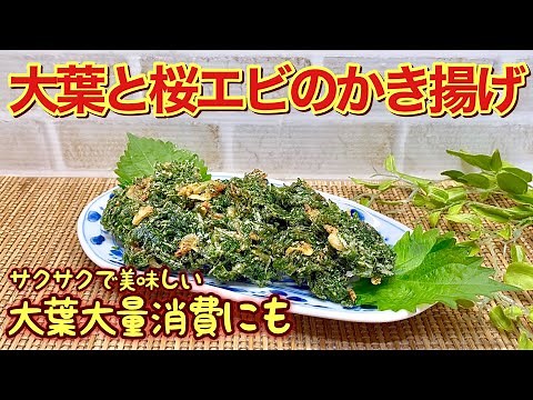 【大葉大量消費に】大葉と桜エビのかき揚げの作り方♪サクサクで爽やかでおつまみ等に最高に美味しいです。