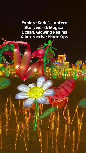 2.1K views · 86 reactions | Tianyu Lights Festival Phoenix (Up to 15% Off!)  This is an all-ages event | Phoenix Bucket List | Facebook