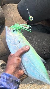 Red Color Fish Catch🎣🐟 & Cook British🍜 Breakfast Style