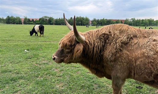 Saved! Beloved N.J. family farm won’t be seized to build housing under last-minute deal.