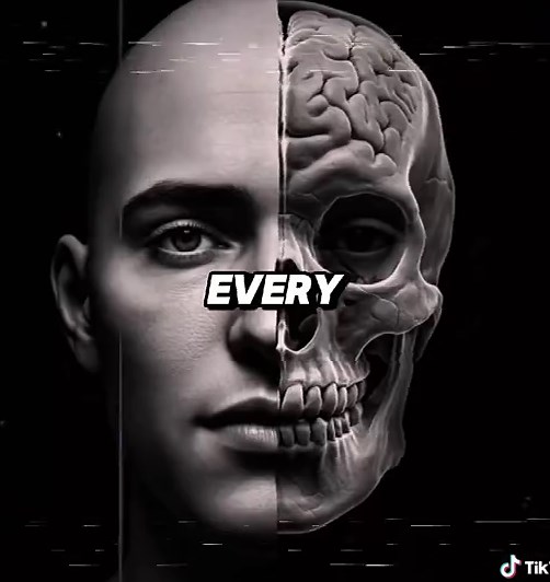 Understanding the Powerful Teenage Brain Dynamics