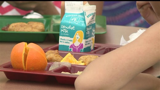 Dine out and help Ankeny students: Restaurants support Fill the Fund