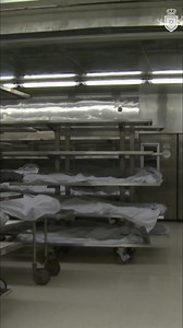 131K views · 2.1K reactions | The circumstances surrounding Princess Diana's embalming have raised suspicions, especially within the Al-Fayed family. Allegations suggest it was done deliberately to obscure potential pregnancy tests. Why the rush without proper authorization? #PrincessDiana #Conspiracy #RoyalFamily #Embalming #AlFayed From: Princess Diana: Conspiracy Theories | Real Royalty | Facebook