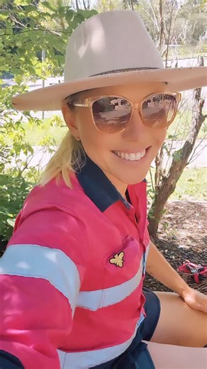 Tetragonula hockingsi rescue Australian native stingless bees 🐝🐝🐝🐝🐝 . . . . . . . . . . . . . . . . . . . . . . . . #beekeeper #bees #australia #insectlovers #beesofinstogram #polinators #brisbane #scary #meliponiculture #awesomeearth #beephotogtaphy #creepy #apismellifera #sustainability #fear #backyardbeekeeping #crazy #fear #trendingreels #viral #viralvideos #stinglessbees #wax #amazing ##australia | Urban Native Bees