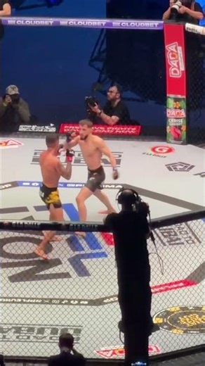 GOUTAVO OLIVEIRA a terminé MOBSAR IBRAGIMOV au deuxième round par Tko #mma #pfl #pflplayoffs