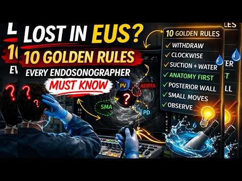 Why Beginners Get Lost in EUS (And the 10 Rules That Fix It)