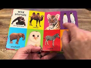 first 100 animals book