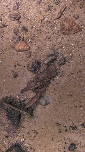 Here's another highlight from episode 11 of WITNESS TITANIC! This week, James provides a first-hand account of the rediscovery of a lost Titanic artifact. Full episode: https://www.youtube.com/watch?v=pJ5qIlwCM70&t=866s The full episode “Diana of Versailles - Titanic’s Newest Survivor” is also available on Apple Podcasts, Spotify and wherever you get your podcasts! #Titanic #EXPEDITION2024 #podcast #witnesstitanic | Titanic: Honor & Glory