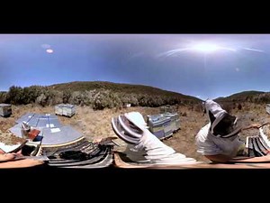 Manuka Honey Heartland - a Virtual Reality experience with Comvita