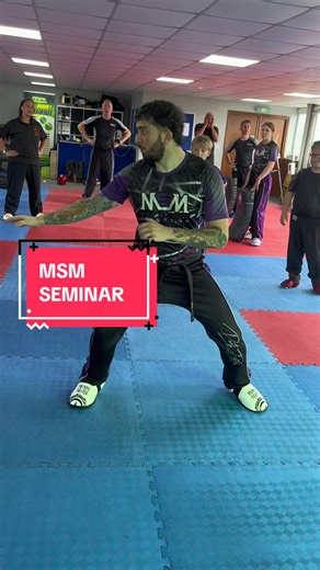Jump back kick - MSM Seminar #bodykick #backkick #pointsfighting #martialarts #fyp