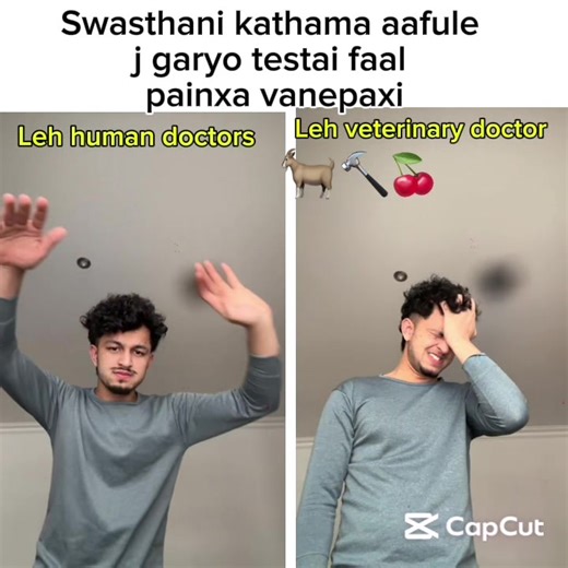 Only Veterinarians Understand This Unique Perspective!