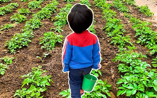 《农民Vlog》第一集，小农民的开心农场，锄地，培土，比偷菜游戏还好玩 【三丰回农村】