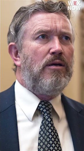 Trump calls Thomas Massie ‘worse’ than Bill Cassidy after senator’s primary defeat
