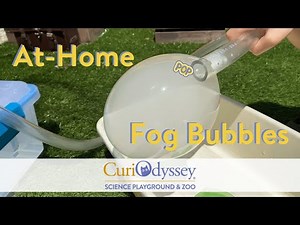 At-Home Fog Bubbles