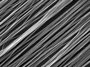 Electrospun Nanofiber Scaffolds with Gradations in Fiber Organization