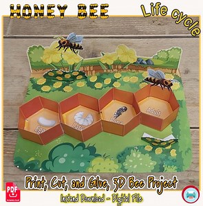 Honey Bee Life Cycle, Bee Life Cycle Diagram, Bee Classroom Decorations, Printable Paper Cut & Paste Assembly Kit, Bee Life Cycle - Etsy