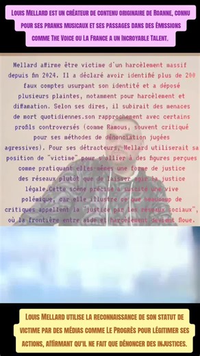 #Ce rapprochement est jugé problématique car Louis Mellard, qui se plaint de subir un harcèlement massif (avec plus de 200 faux comptes identifiés selon Le Progrès), participe ici à une action perçue par beaucoup comme du harcèlement de rue ou une forme d'intimidation privée.Dans la vidéo mentionnée, Louis Mellard accompagne Ramous directement devant le domicile des parents de Mélissa. L'objectif affiché était de