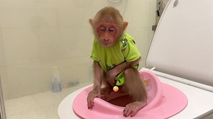 So Cute! Bibi wake up earlier than usual so both pee and sleepy #fblifestyle | Family MK