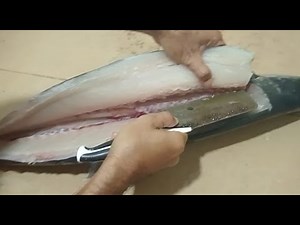 Handling of fish caught after fishing: a guide to filleting mackerel fish for beginner or house chef