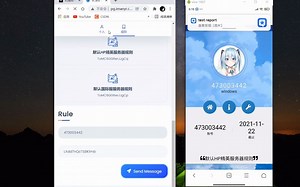 ccproxy系统开卡cap自定义规则