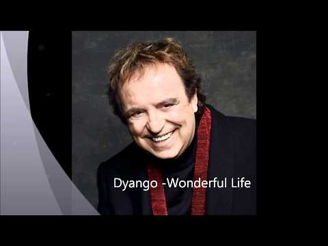 Dyango - Wonderful Life