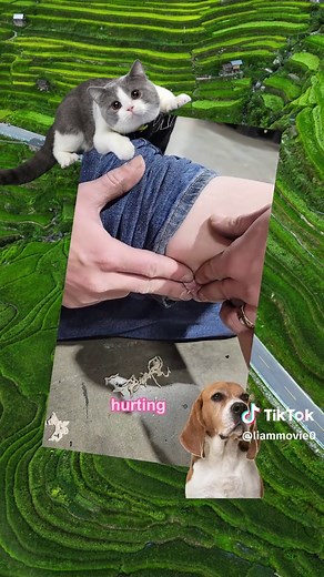 Cyst and Pimple Popping Techniques Revealed