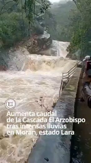 El Informador Venezuela Noticias 🌏🇻🇪 on Instagram: "Debido a las fuertes precipitaciones caídas en las últimas horas, la cascada El Arzobispo, ubicada en Humocaro Alto del municipio Morán, estado Lara, registra este domingo 15 de febrero un incremento significativo en su caudal. En un video captado por residentes y turistas, muestra una intensidad hídrica superior a la habitual en este emblemático espacio turístico. Autoridades y cuerpos de seguridad instan a los visitantes a extremar medidas