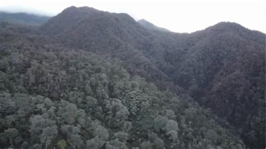 244K views · 2.6K reactions | LOOK: Drone shot of ashfall in La Carlota City, taken on Tuesday, December 10, a day after the eruption of Mt. Kanlaon in Negros island. | via Romeo Subaldo, ABS-CBN News | ABS-CBN News | Facebook