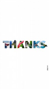 1.7K views · 115 reactions | [THANKS ] Depuis juillet 1994, notre...