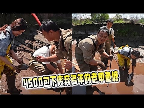 花4500包下廢棄多年的老甲魚塘，裏面的甲魚到底會有多大？ #戶外 #農村生活 #大表哥