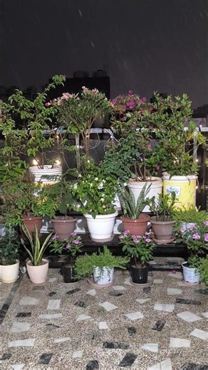 Baarish!! 🌨️ 🌨️ #shorts #shortsfeed #feedshorts