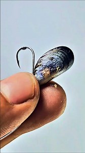 🐚 The Strongest Way to Rig Mussels on a Hook . #diy #gtknot #fishing #knot