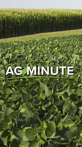 You must have the right weather to grow the crop you want, and a market for what you're growing. | Ag PhD