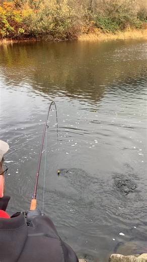 Fishing the Wilson River in Tillamook, Oregon for salmon and steelhead | Anthony Rubeo Outdoors
