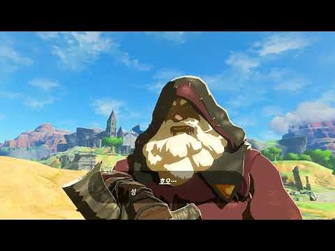 The Legend of Zelda: Breath of the Wild | Cemu 1.25.0b | New Shader Cache Format