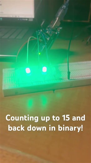Up to 15 and back down in binary! #arduino #arduinoproject #awesome