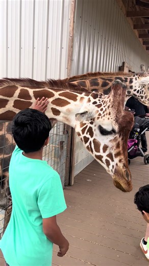 Discover Zootastic Park: Fun for All Ages Near Charlotte