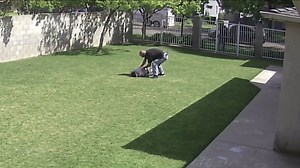 Video Shows Fresno Cop Fatally Shooting Unarmed Teen