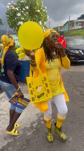 🐝 Bees OUT!! 🐝 North Leeward!! | Codrian S Simmons