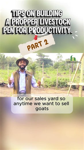 How To Build A GOAT Pen From Beginning To End #semanhyiafarms #goatfarming