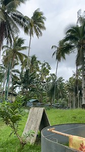 EP Dodong Madelo on Reels
