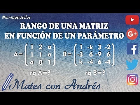 Rank of a matrix as a function of a parameter by determinants 01