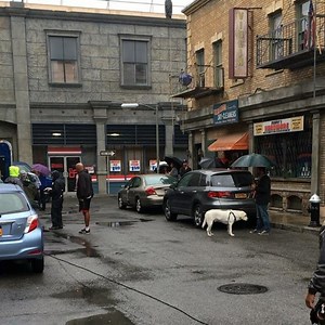 Tomorrow is the season finale of Baby Daddy! I'm so proud of this show for many reasons, but guess who gets his very first acting credit?! @adventureswithneptune was "street dog number 1"! I'm dead serious about making him a working picture dog, and we appreciate the support. Look for him in tomorrow's episode and in the future, commercials, dog food bags, who knows! | Derek Theler