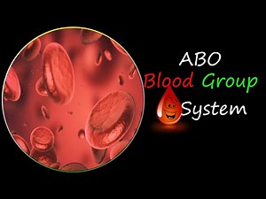 ABO Blood Group System