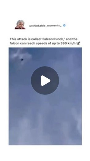 𝗨𝗻𝗯𝗲𝗹𝗶𝗲𝘃𝗮𝗯𝗹𝗲 𝗺𝗼𝗺𝗲𝗻𝘁𝘀, 𝗶𝗳 𝗻𝗼𝘁 𝗰𝗮𝘂𝗴𝗵𝘁 𝗼𝗻 𝗰𝗮𝗺𝗲𝗿𝗮 📸 on Instagram: "🦅 The „Falcon Punch“ is a powerful and iconic attack used by Captain Falcon in the „Super Smash Bros.“ series, known for its fiery, high-damage punch with significant knockback, despite being slow to execute. Here’s how to cook rice: 1. Rinse the rice: Rinse the rice in a fine mesh sieve under cold running water until the water runs clear. This helps remove excess starch. 2. Ratio of water to r