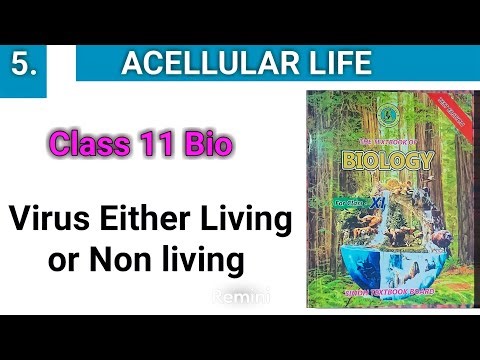 Virus Either Living or Non living || Acellular Life chapter 5 || Class 11 bio