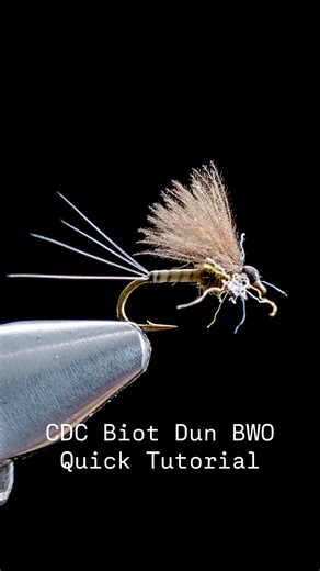 Troutlie.Studio on Instagram: "Probably one of the easiest and most effective adult dun #mayfly patterns I tie. This is a fantastic “sailboat” adult profile #bwo fly I use often on the #owyheeriver, #silvercreek and the #southforkboiseriver. If you’re tying for the weekend, give these a go. An absolute must-have for fall #troutfishing #flytying #dryflies"