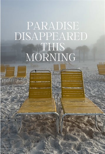 Siesta Key is paradise 🌴. This morning it looked like the apocalypse. 🌫️ Siesta Key - America’s Number One beach - disappeared under the thickest fog I’ve ever seen!! 🌫️😶‍🌫️🌊The beach chairs sat empty, the sun was barely a glow, and the whole place felt like a ghost town . #SiestaKey #oceanvibes #floridalife #apocalypse #TikTokCreatorSearchInsightsIncentive