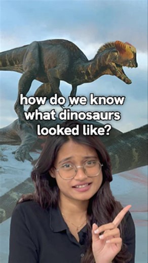 Limitless Learning on Instagram: "Its all in the bones! 🦴🦖☠️ Learn about how scientists reconstruct dinosaurs using biology lessons that you are learning about in grade 9 & 10 right now! Leave a 💚 if you learned something new! Call 3000759 or visit limitlesslearning.mv to learn more! #education #learning #maldives"