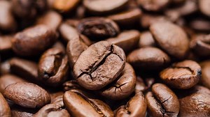 Researchers reach a step closer to naturally growing decaffeinated coffee beans
